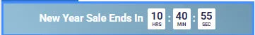 Sales Timer